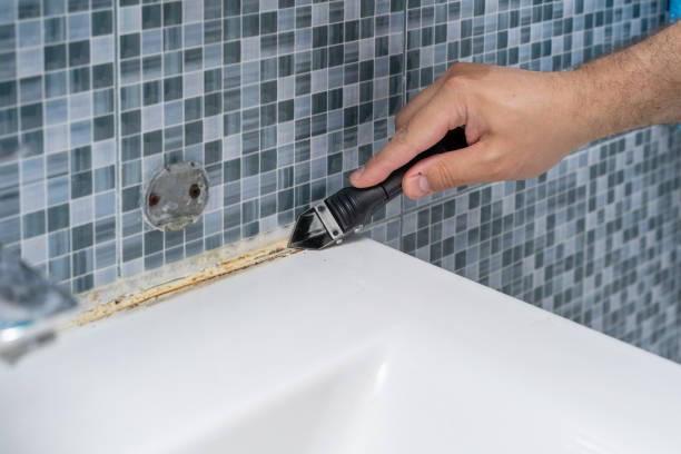 Best Health and Safety Mold Remediation in Hermantown, MN
